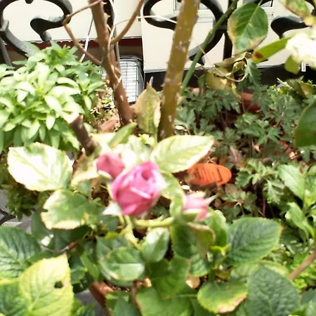 Bed & Breakfast Domingorooms - Le Marais Paris